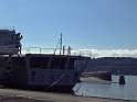 Zampa (117)